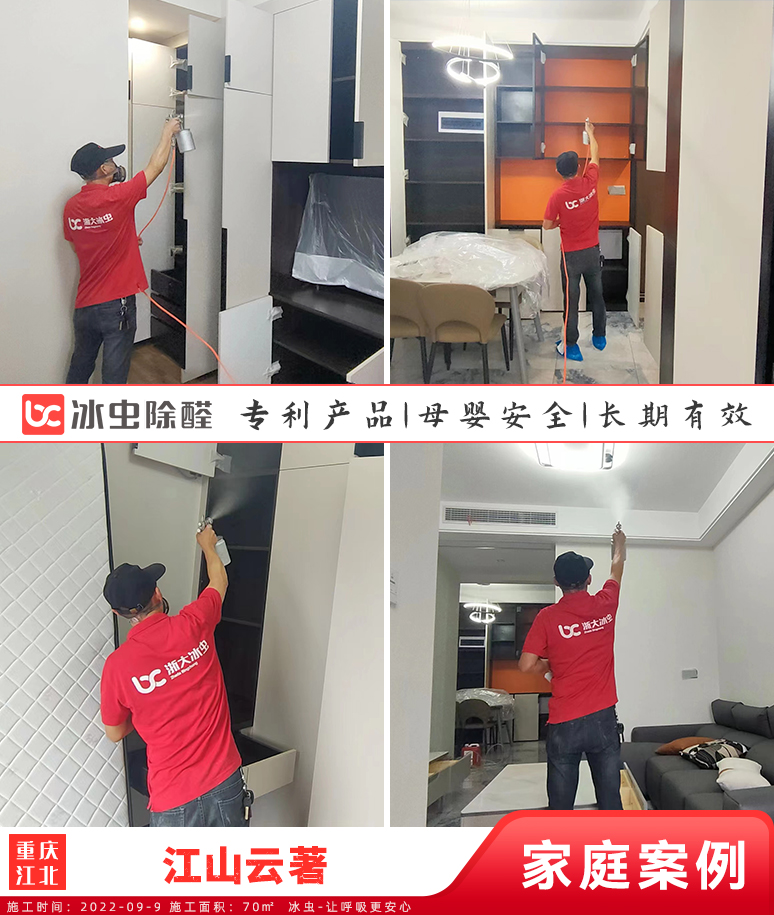 江山云著--重庆除甲醛