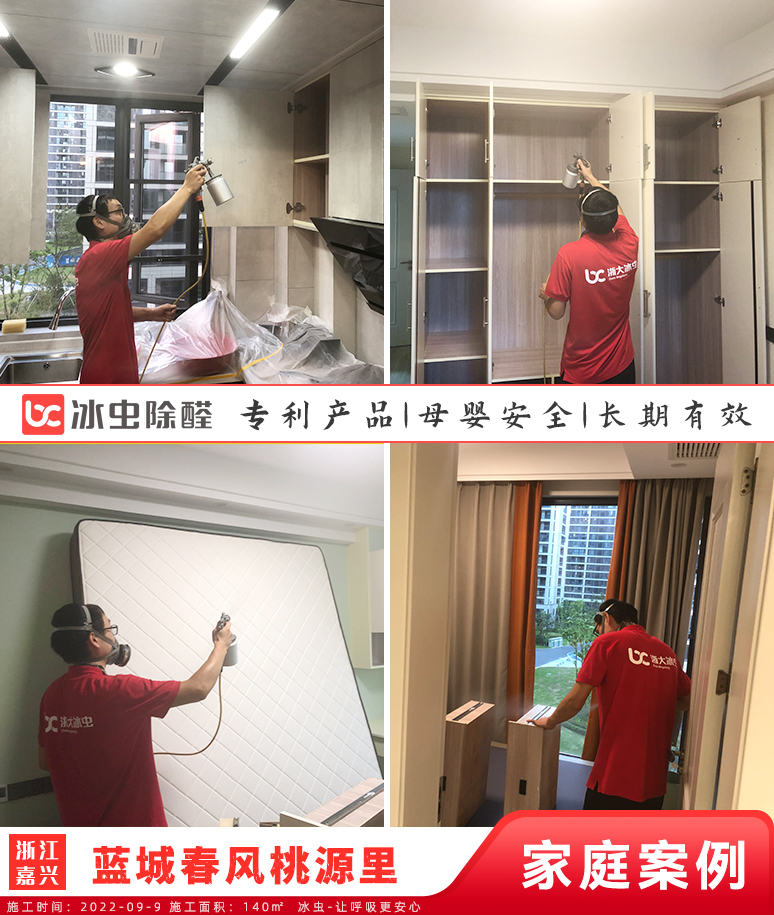 蓝城春风桃源里--嘉兴除甲醛