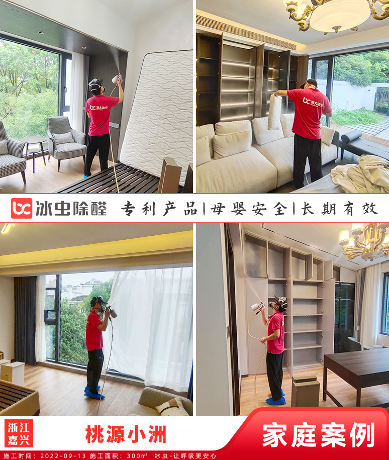 桃源小洲--嘉兴除甲醛