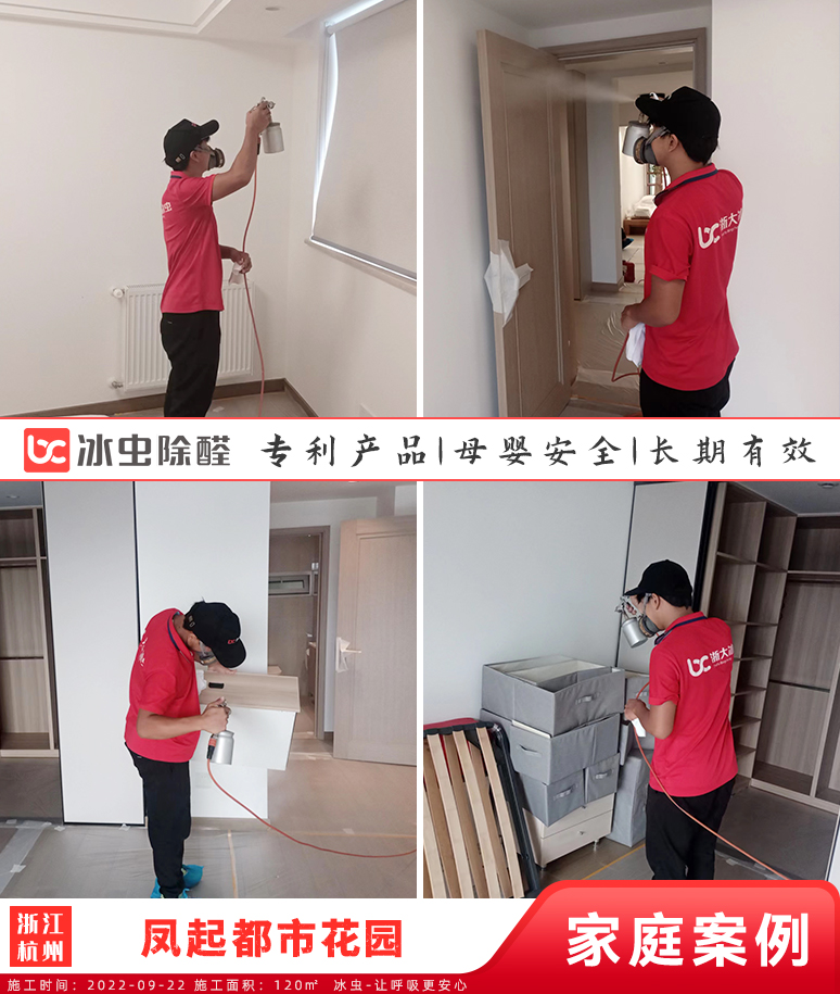 凤起都市花园--杭州除甲醛