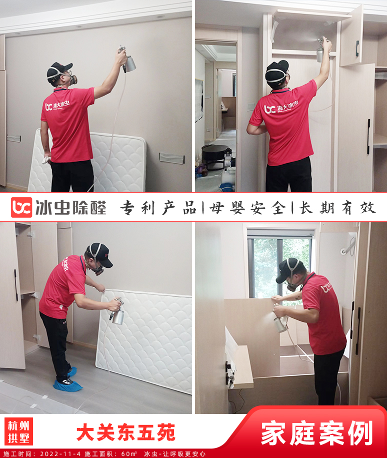 大关东五苑--杭州除甲醛