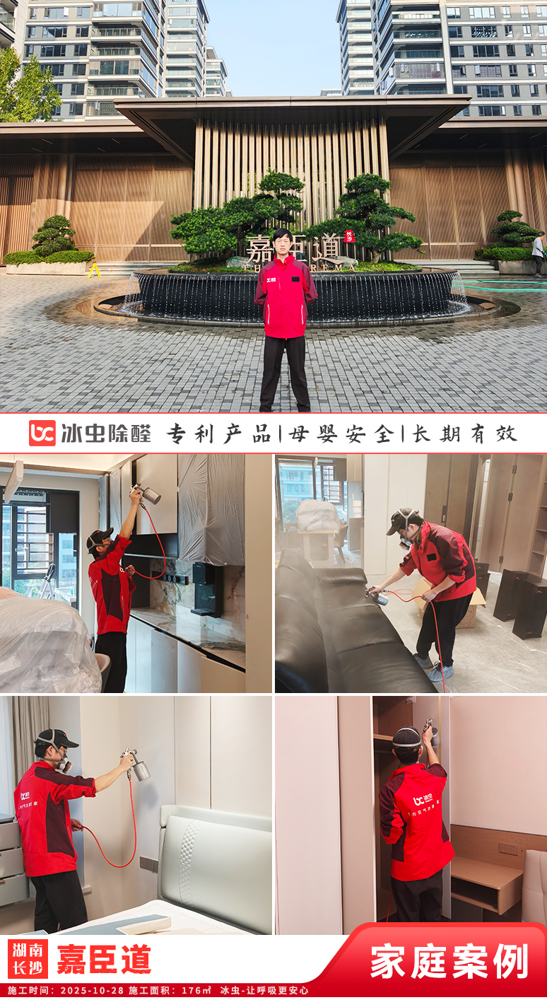 冰虫新房除甲醛案例-湖南长沙望城区-嘉臣道 