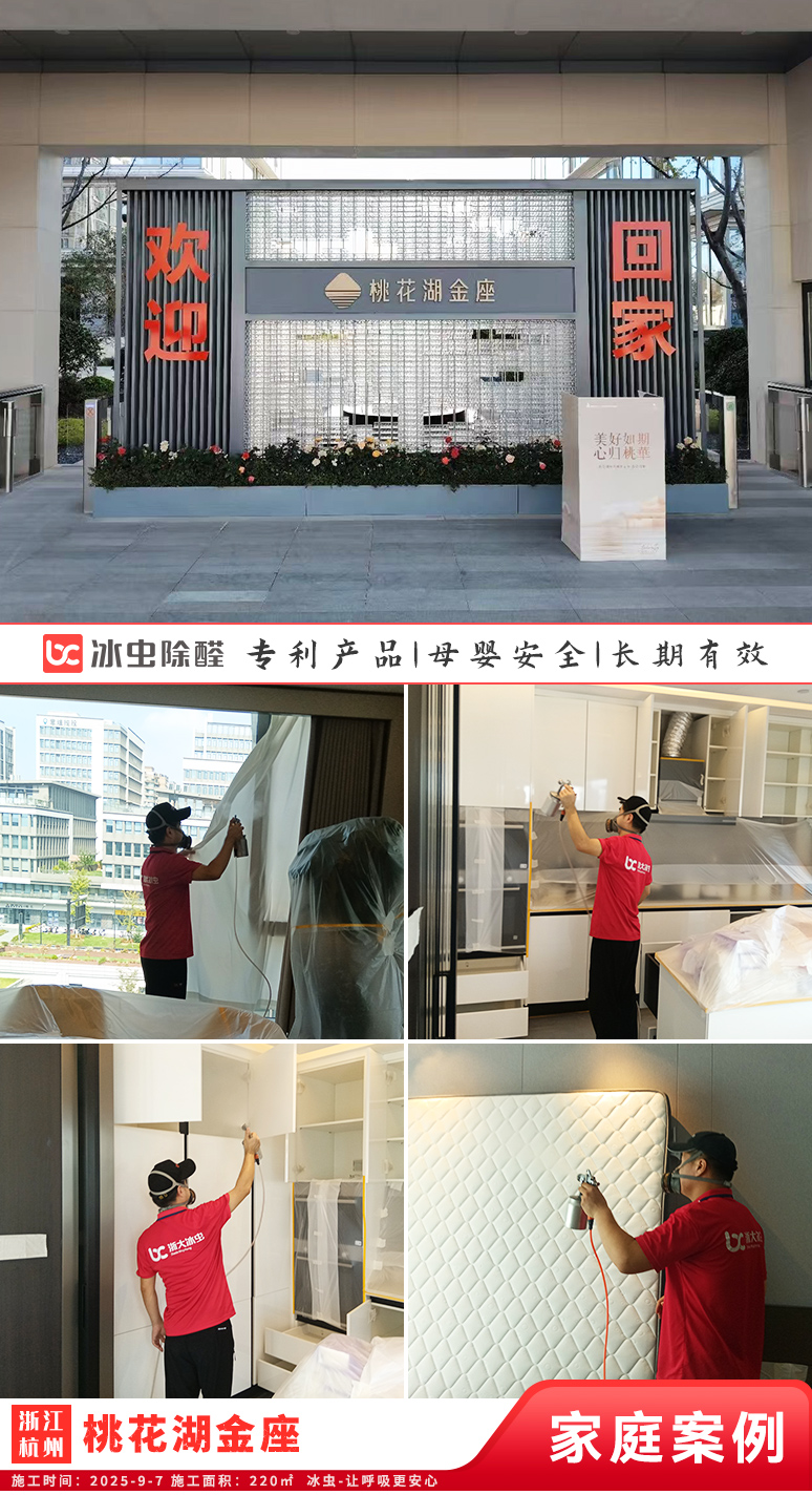 冰虫新房除甲醛案例-杭州上城区-桃花湖金座