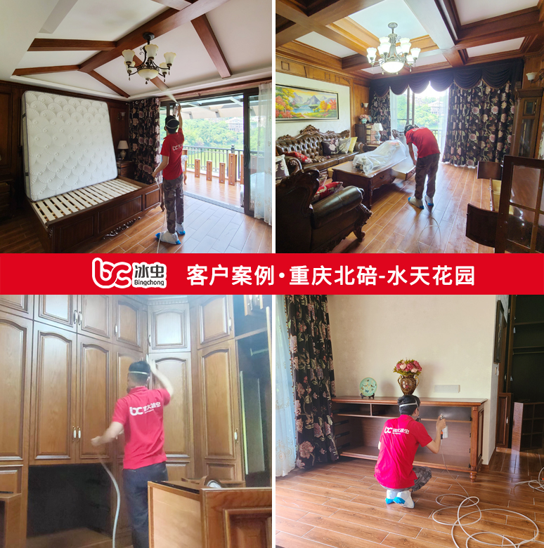 冰虫除甲醛案例-浙江嘉兴-盛华园