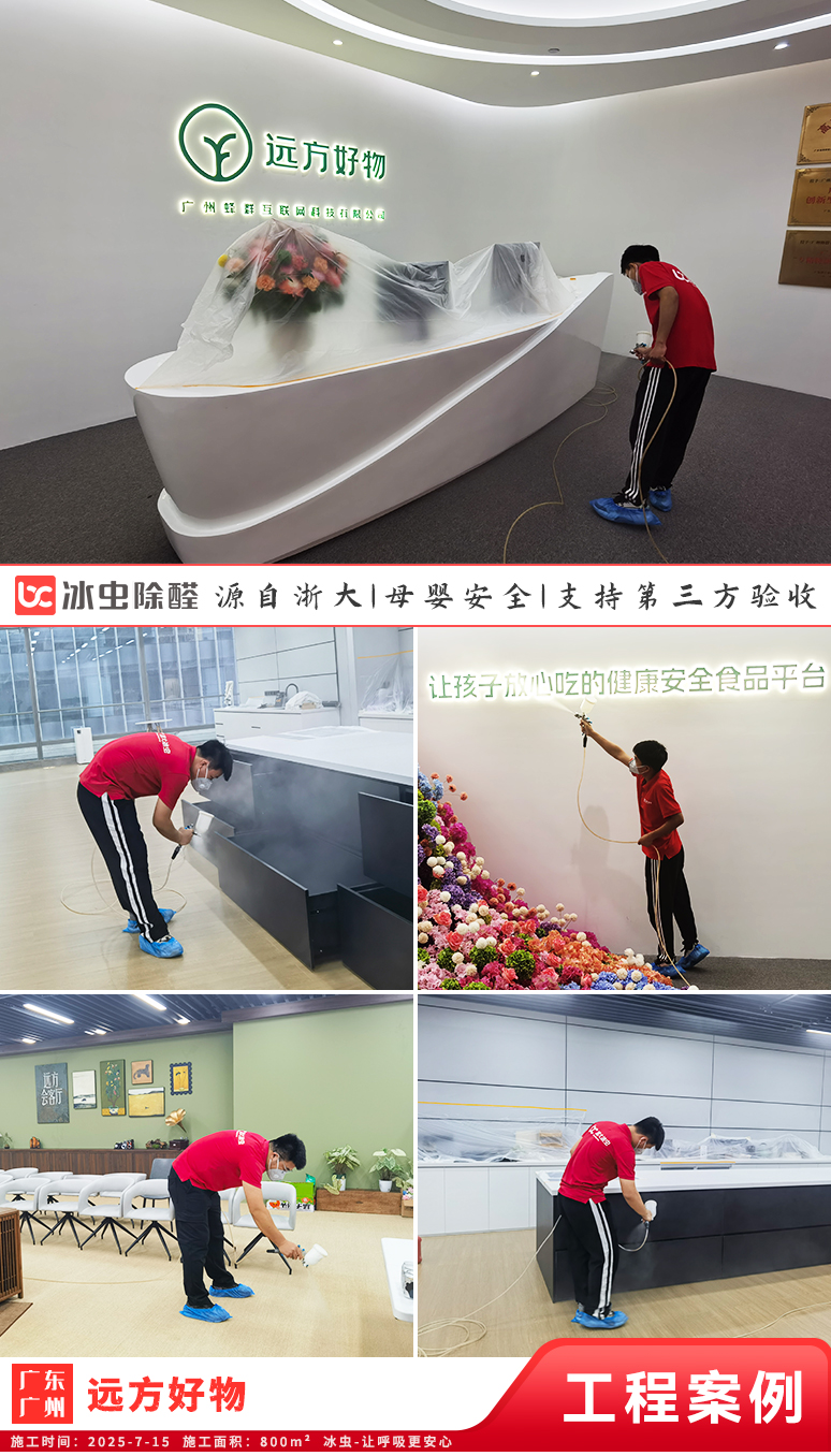 冰虫除甲醛案例-广东广州-远方好物