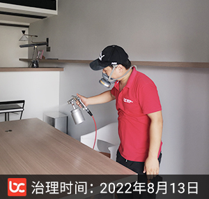 朗诗熙园-南京除甲醛