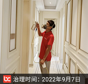 绿城兰园--上海除甲醛