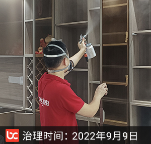 御龙天峰--重庆除甲醛