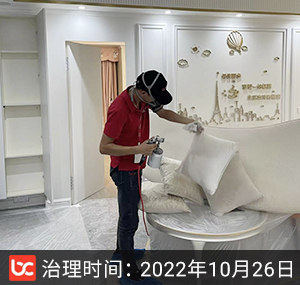 百步龙庭-武汉除甲醛