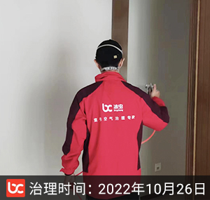 高淳雅园-南京除甲醛