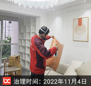 诺丁阳光-重庆除甲醛