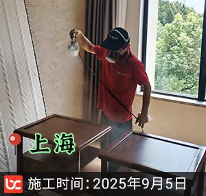 上海佘山九里除甲醛