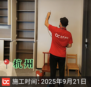 杭州江斓映象府除甲醛