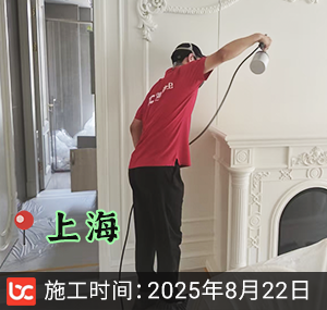 上海- 仁恒怡庭-除甲醛