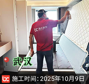 湖北武汉-绿城湖畔云�