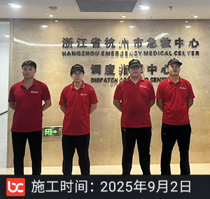 冰虫除甲醛-杭州市急�