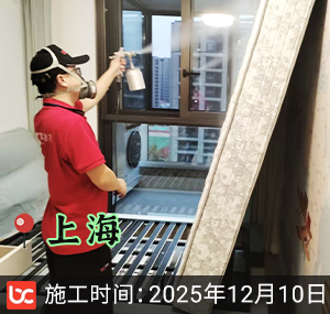 上海-金鼎阅府-除甲醛